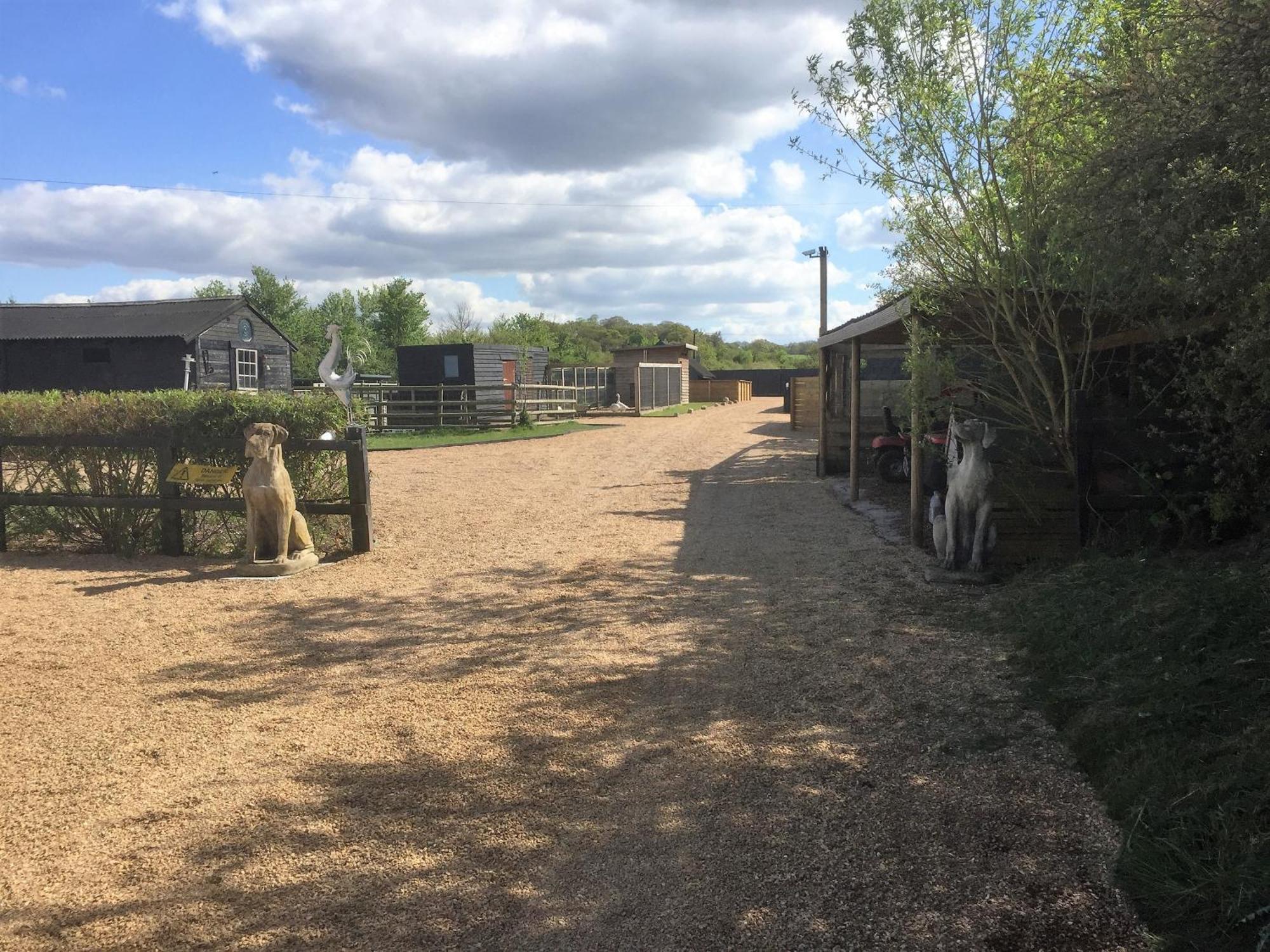 Willow Court Farm The Lodge & Petting Farm, 8 Mins From Legoland & Windsor, 15 Mins From Lapland Uk Eksteriør billede