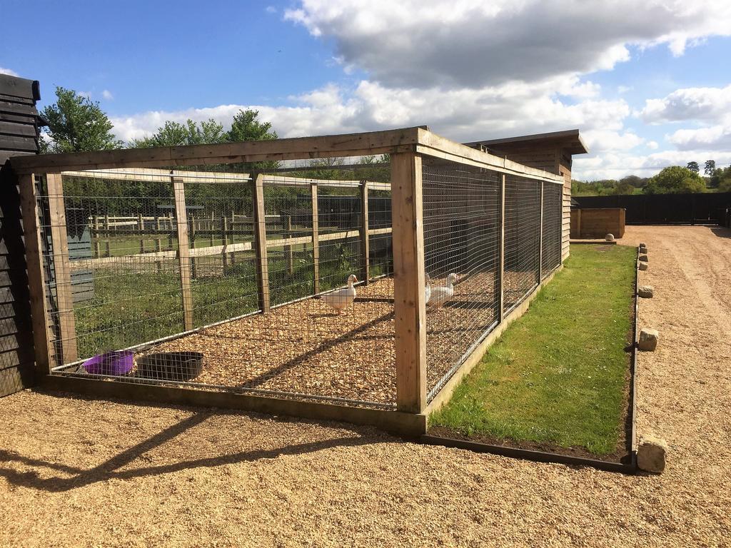 Willow Court Farm The Lodge & Petting Farm, 8 Mins From Legoland & Windsor, 15 Mins From Lapland Uk Eksteriør billede