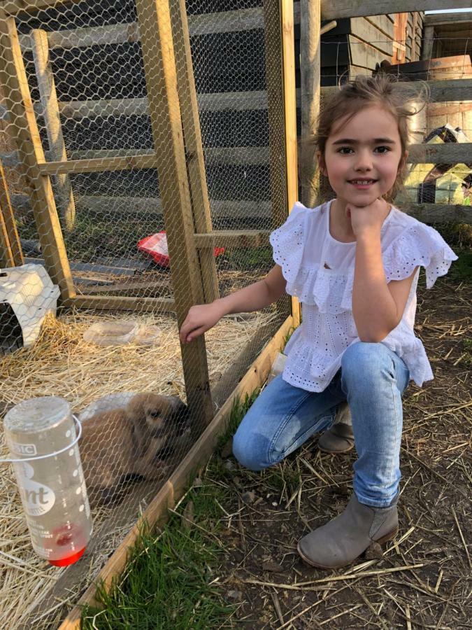 Willow Court Farm The Lodge & Petting Farm, 8 Mins From Legoland & Windsor, 15 Mins From Lapland Uk Eksteriør billede