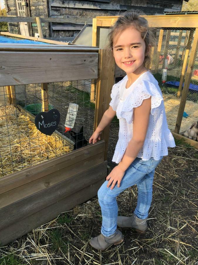 Willow Court Farm The Lodge & Petting Farm, 8 Mins From Legoland & Windsor, 15 Mins From Lapland Uk Eksteriør billede