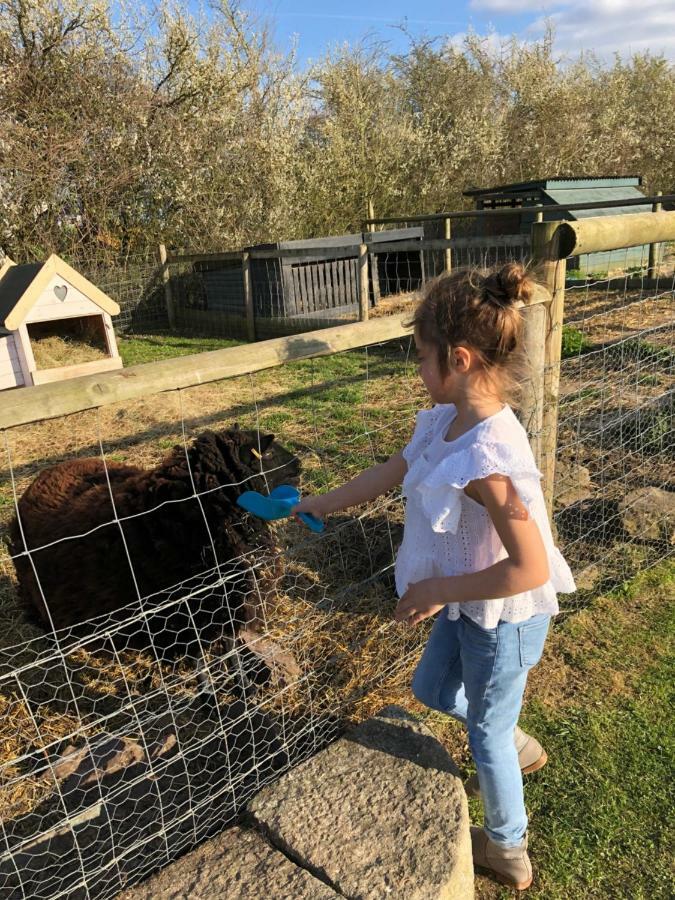 Willow Court Farm The Lodge & Petting Farm, 8 Mins From Legoland & Windsor, 15 Mins From Lapland Uk Eksteriør billede