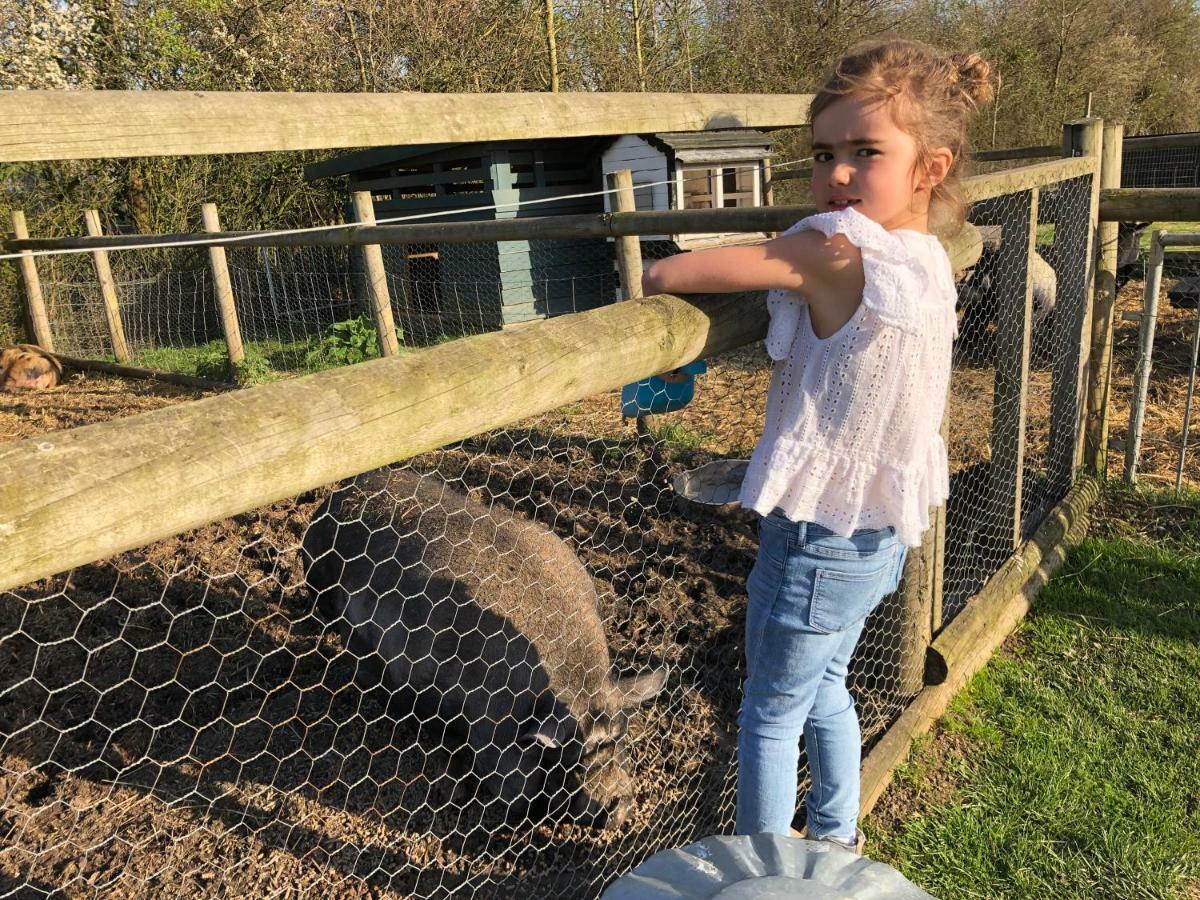 Willow Court Farm The Lodge & Petting Farm, 8 Mins From Legoland & Windsor, 15 Mins From Lapland Uk Eksteriør billede